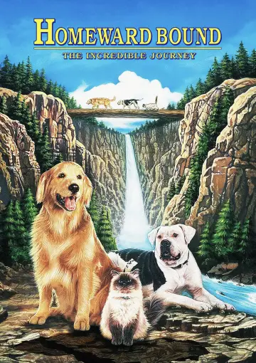 Plakat do filmu "Niezwykła podróż" #251066