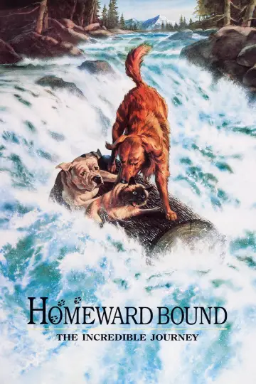 Plakat do filmu "Niezwykła podróż" #251075