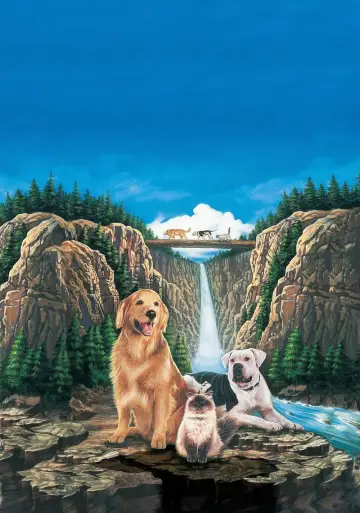 Plakat do filmu "Niezwykła podróż" #444949
