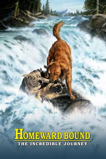 Plakat do filmu "Niezwykła podróż" #868944