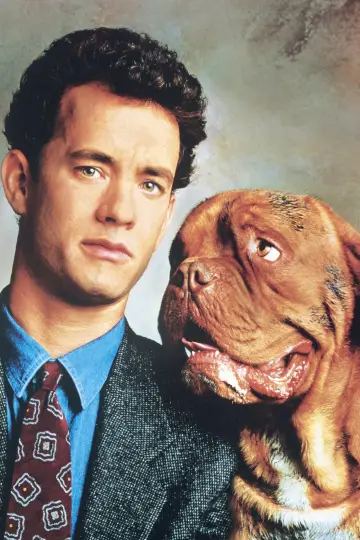 Turner i Hooch