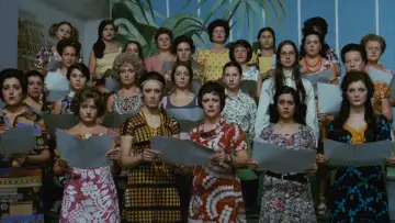 Zasłona do filmu "Z nami nie ma żartów" #216575