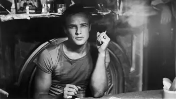 Zasłona do filmu "Tramwaj zwany pożądaniem" #203946