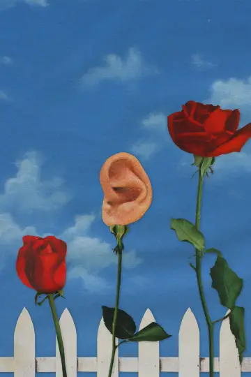 Plakat do filmu "Blue Velvet" #785871