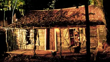 Zasłona do filmu "Martwe zło 2" #207830