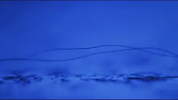 Zasłona do filmu "Gattaca - Szok przyszłości" #1216788