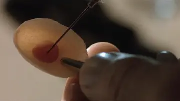 Zasłona do filmu "Gattaca - Szok przyszłości" #1216789