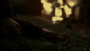 Zasłona do filmu "Harry Potter i Książę Półkrwi" #559494