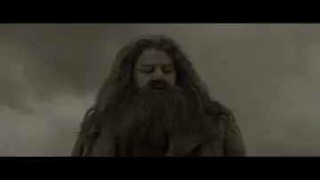 Zasłona do filmu "Harry Potter i Książę Półkrwi" #559534