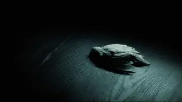 Zasłona do filmu "Harry Potter i Książę Półkrwi" #798470