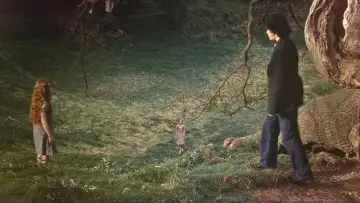 Zasłona do filmu "Harry Potter i Książę Półkrwi" #830980