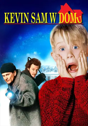 Plakat do filmu "Kevin sam w domu" #849142