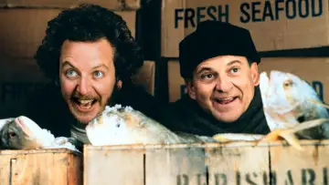 Zasłona do filmu "Kevin sam w Nowym Jorku" #163449