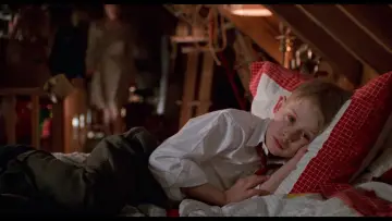 Zasłona do filmu "Kevin sam w Nowym Jorku" #566970