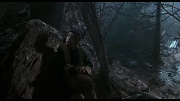 Zasłona do filmu "Kevin sam w Nowym Jorku" #566978