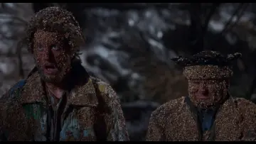 Zasłona do filmu "Kevin sam w Nowym Jorku" #566980