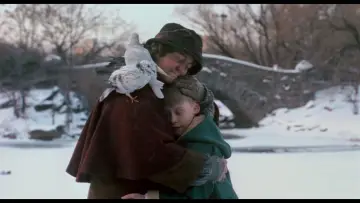 Zasłona do filmu "Kevin sam w Nowym Jorku" #566983