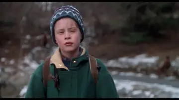 Zasłona do filmu "Kevin sam w Nowym Jorku" #567019