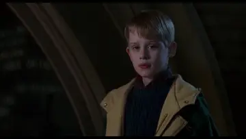 Zasłona do filmu "Kevin sam w Nowym Jorku" #567032