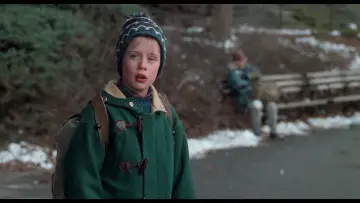 Zasłona do filmu "Kevin sam w Nowym Jorku" #567044