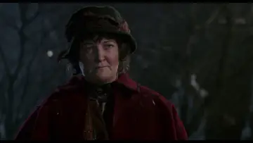 Zasłona do filmu "Kevin sam w Nowym Jorku" #567055