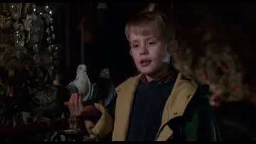 Zasłona do filmu "Kevin sam w Nowym Jorku" #567062