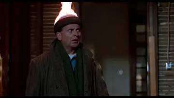 Zasłona do filmu "Kevin sam w Nowym Jorku" #567066