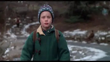 Zasłona do filmu "Kevin sam w Nowym Jorku" #567075