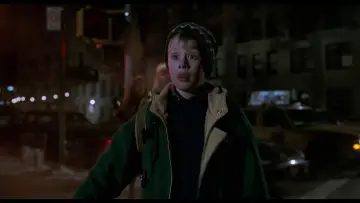 Zasłona do filmu "Kevin sam w Nowym Jorku" #567077