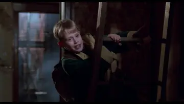 Zasłona do filmu "Kevin sam w Nowym Jorku" #567125