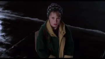 Zasłona do filmu "Kevin sam w Nowym Jorku" #567152