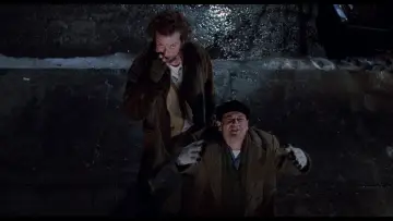 Zasłona do filmu "Kevin sam w Nowym Jorku" #567243