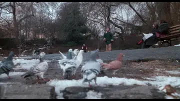 Zasłona do filmu "Kevin sam w Nowym Jorku" #567247