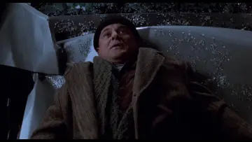 Zasłona do filmu "Kevin sam w Nowym Jorku" #567268