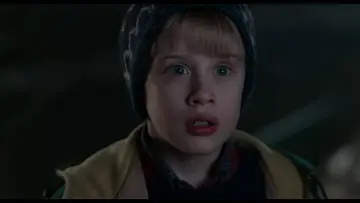 Zasłona do filmu "Kevin sam w Nowym Jorku" #567285