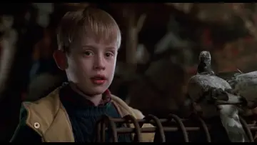 Zasłona do filmu "Kevin sam w Nowym Jorku" #567401