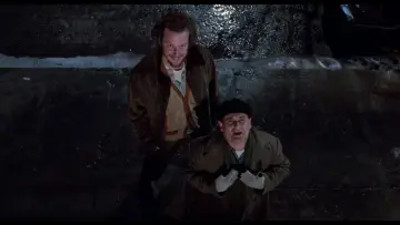Zasłona do filmu "Kevin sam w Nowym Jorku" #567430