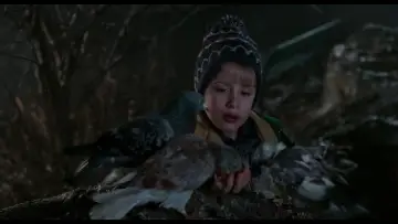 Zasłona do filmu "Kevin sam w Nowym Jorku" #567434