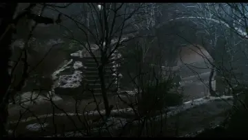 Zasłona do filmu "Kevin sam w Nowym Jorku" #567435