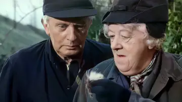 Zasłona do filmu "Śmierć ma okna" #1013196