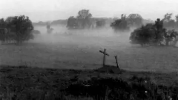 Zasłona do filmu "Martwe zło" #225466