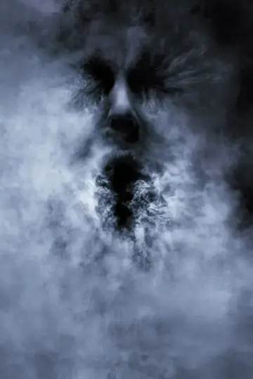 Plakat do filmu "Mgła" #355229