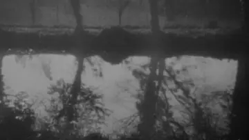 Zasłona do filmu "Wampir" #478698