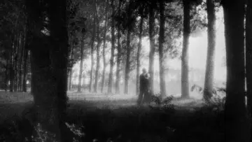 Zasłona do filmu "Wampir" #988770