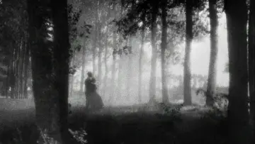 Zasłona do filmu "Wampir" #988773