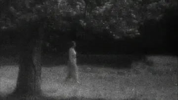 Zasłona do filmu "Wampir" #988785