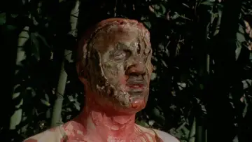 Zasłona do filmu "Zombi Holocaust" #436037