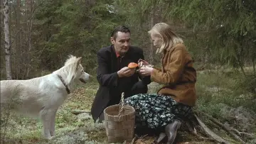 Zasłona do filmu "Człowiek bez przeszłości" #217006