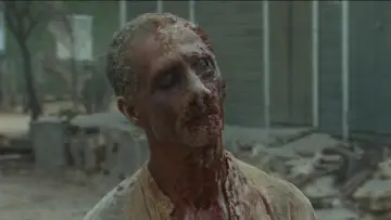 Zasłona do filmu "Zombie pożeracze mięsa" #1208842