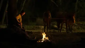 Zasłona do filmu "Aż poleje się krew" #624073